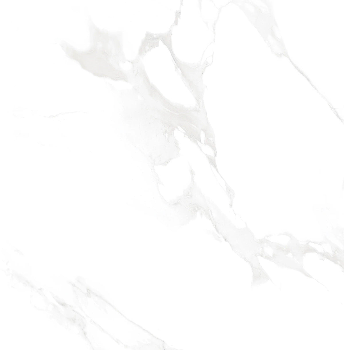 COSMIC SATUARIO 60X60 CM POLISHED - Surfaces Tiles