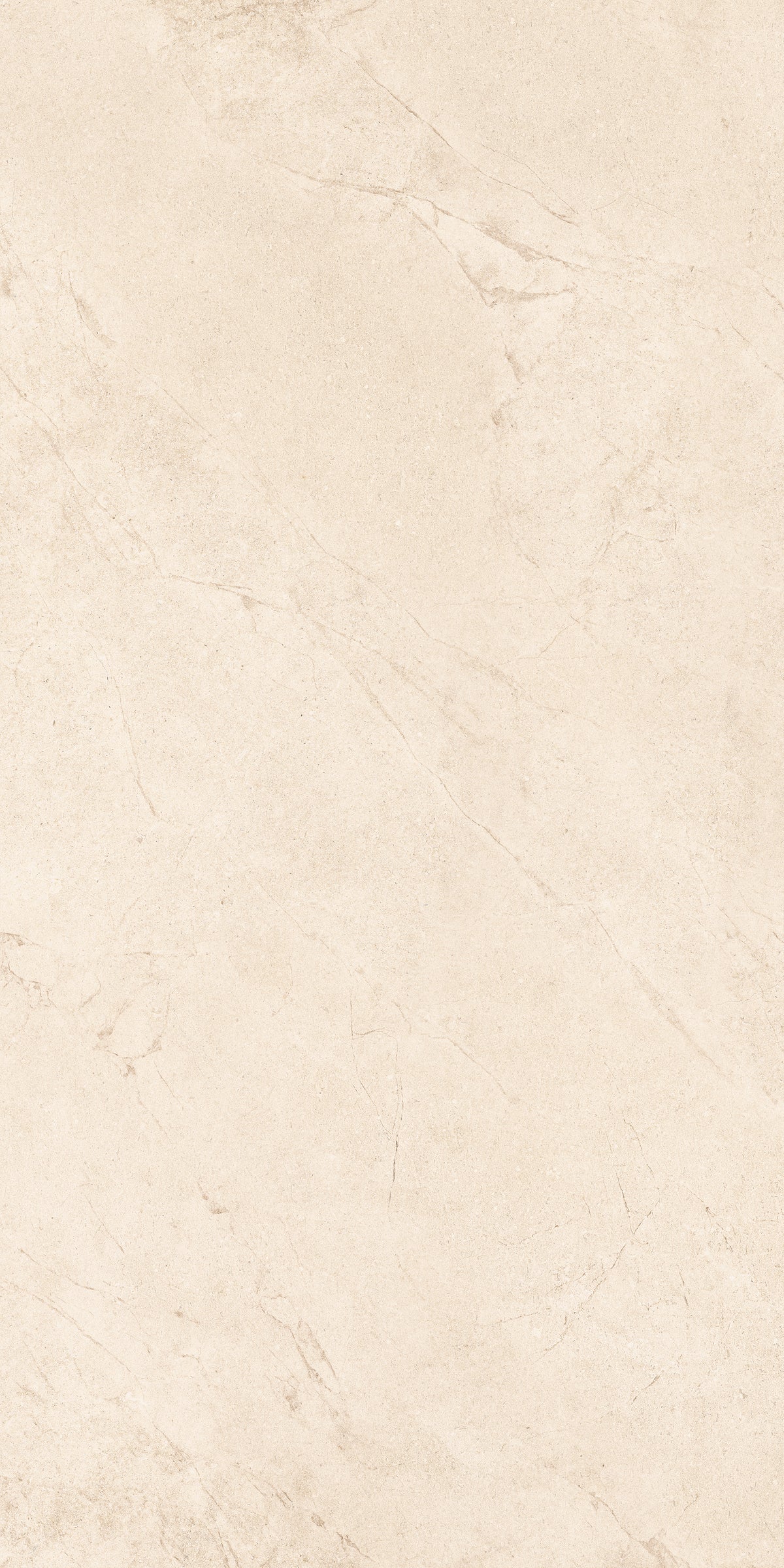Render Bone 60x90cm (2cm) Outdoor Porcelain Tiles