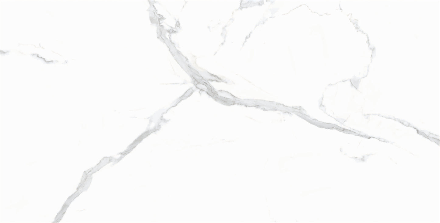 Verona Bianco 60x120 cm Polished Porcelain Tile